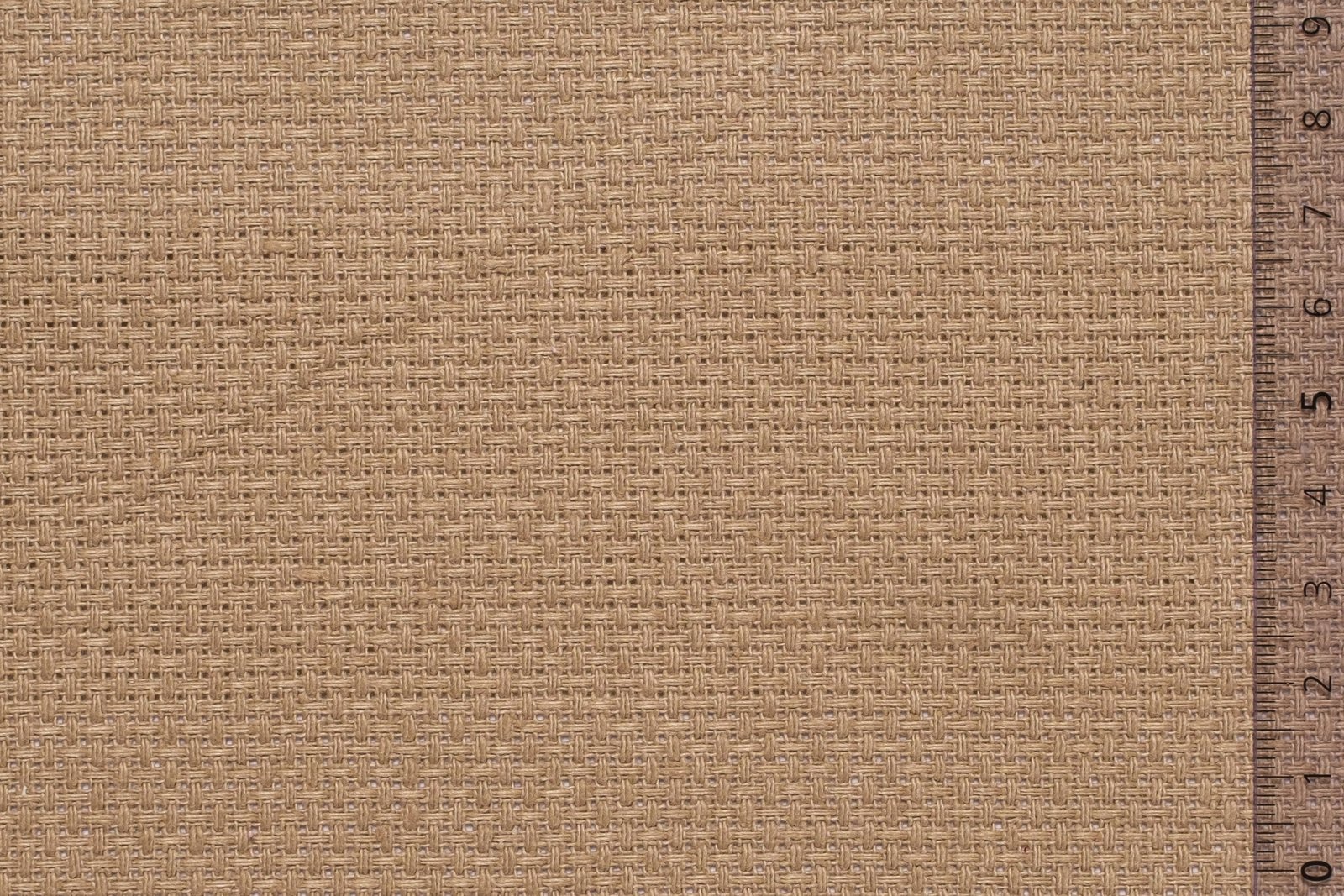 06AID40CAPxxxCOT[AIDAMAS 40](CAPPUCCINO)F